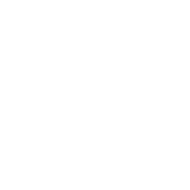 TEMPLE CAPITAL